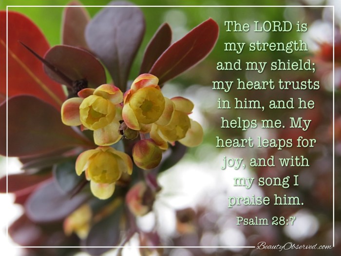 yellow-darkred-strength